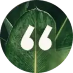 Ametyhst Turkish Bath